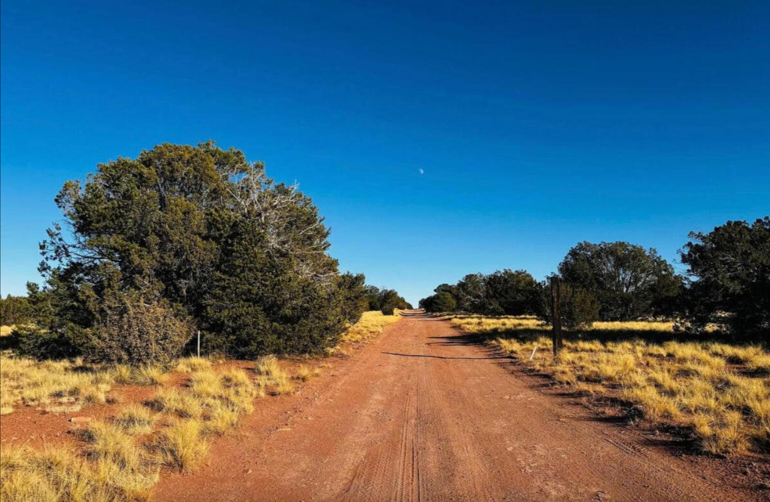 Williams AZ (Coconino)