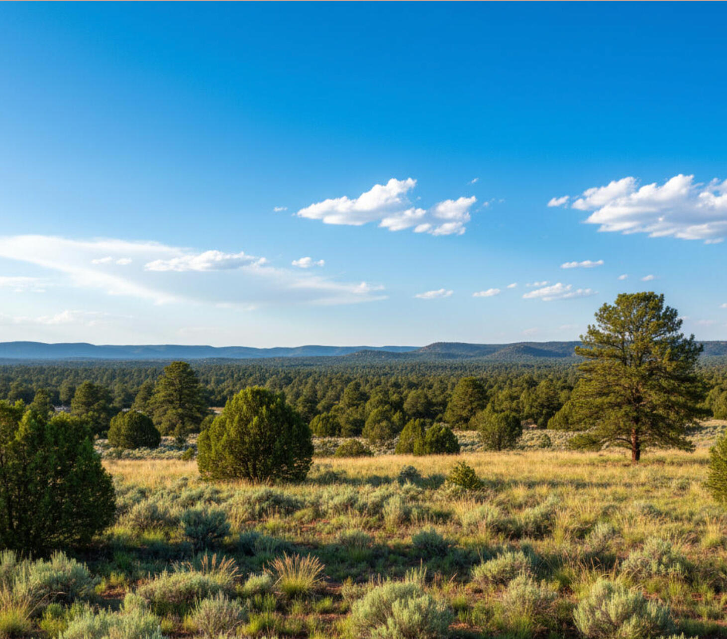 Snowflake, AZ Snowflake, AZ
